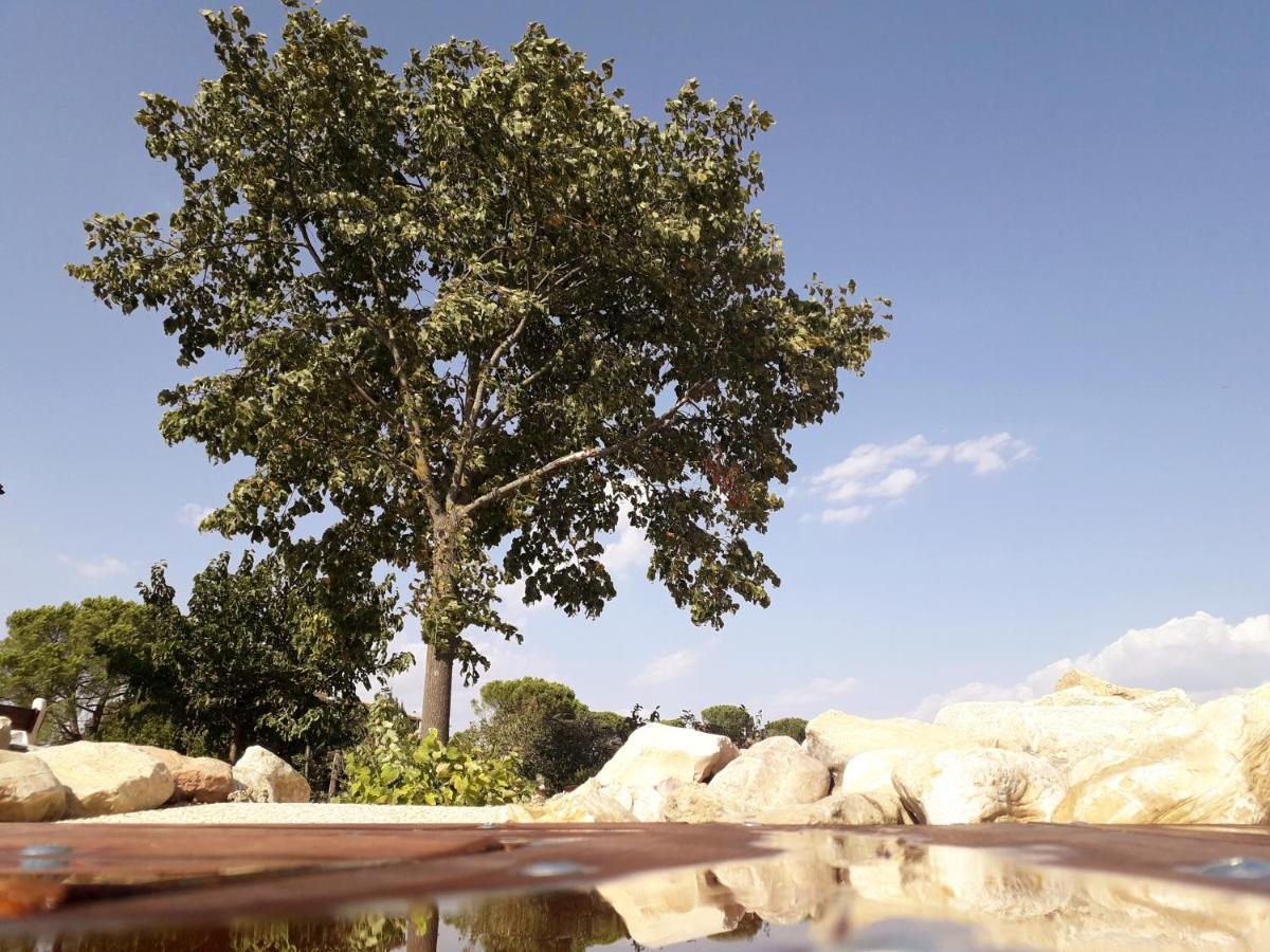 Castello Nuovo Di Fiore - Appartamento 1 المظهر الخارجي الصورة