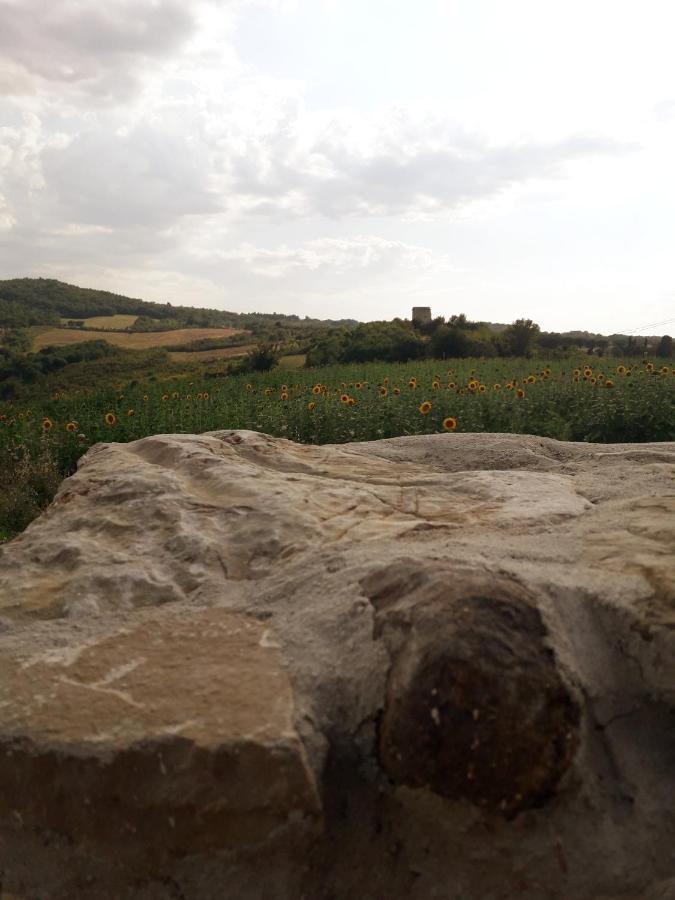 Castello Nuovo Di Fiore - Appartamento 1 المظهر الخارجي الصورة